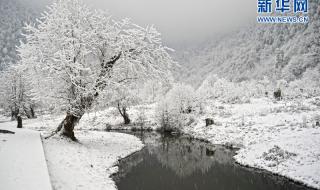 黑竹沟国家森林公园 黑竹沟国家森林公园